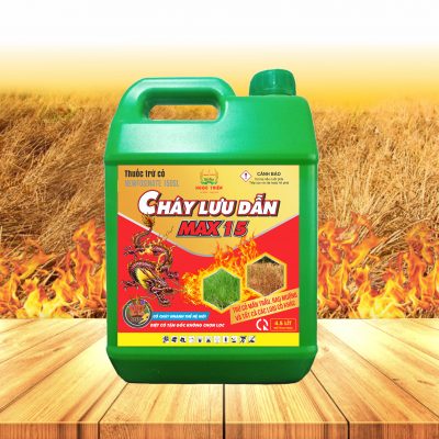 Cháy luu dẫn  Glufosinate amonium 150 nước xanh  Chết đẹp mưa cũng chết nắng cũng chết  Nói chung bao chết  Can có  Chai có Quý anh chị có nhu cầu alô 0916901234 để lấy giá tốt nhất